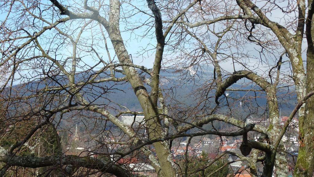 Bergziege Lejlighed Braunlage Eksteriør billede